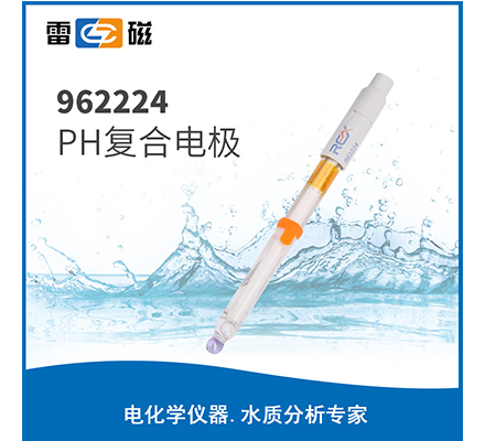 962224 pH復合電極